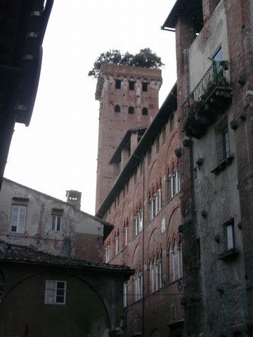 Lucca-2005 034-Palazzo Guinigi.JPG